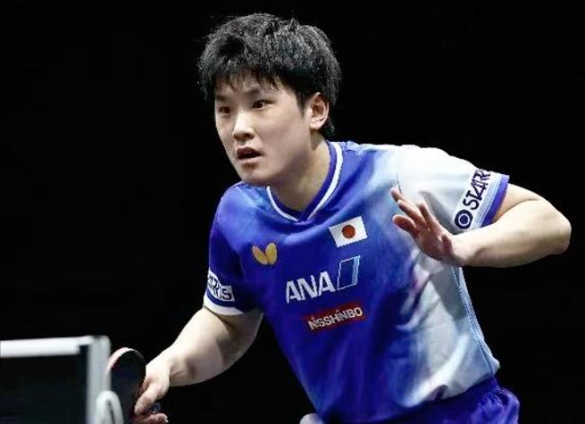 波兰乒乓球队翻盘比利时乒乓球队，张本智和统治全场的简单介绍