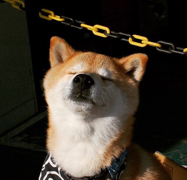 三笘薰的魔法时刻，当日本天才成为南美宿敌对决的胜负手