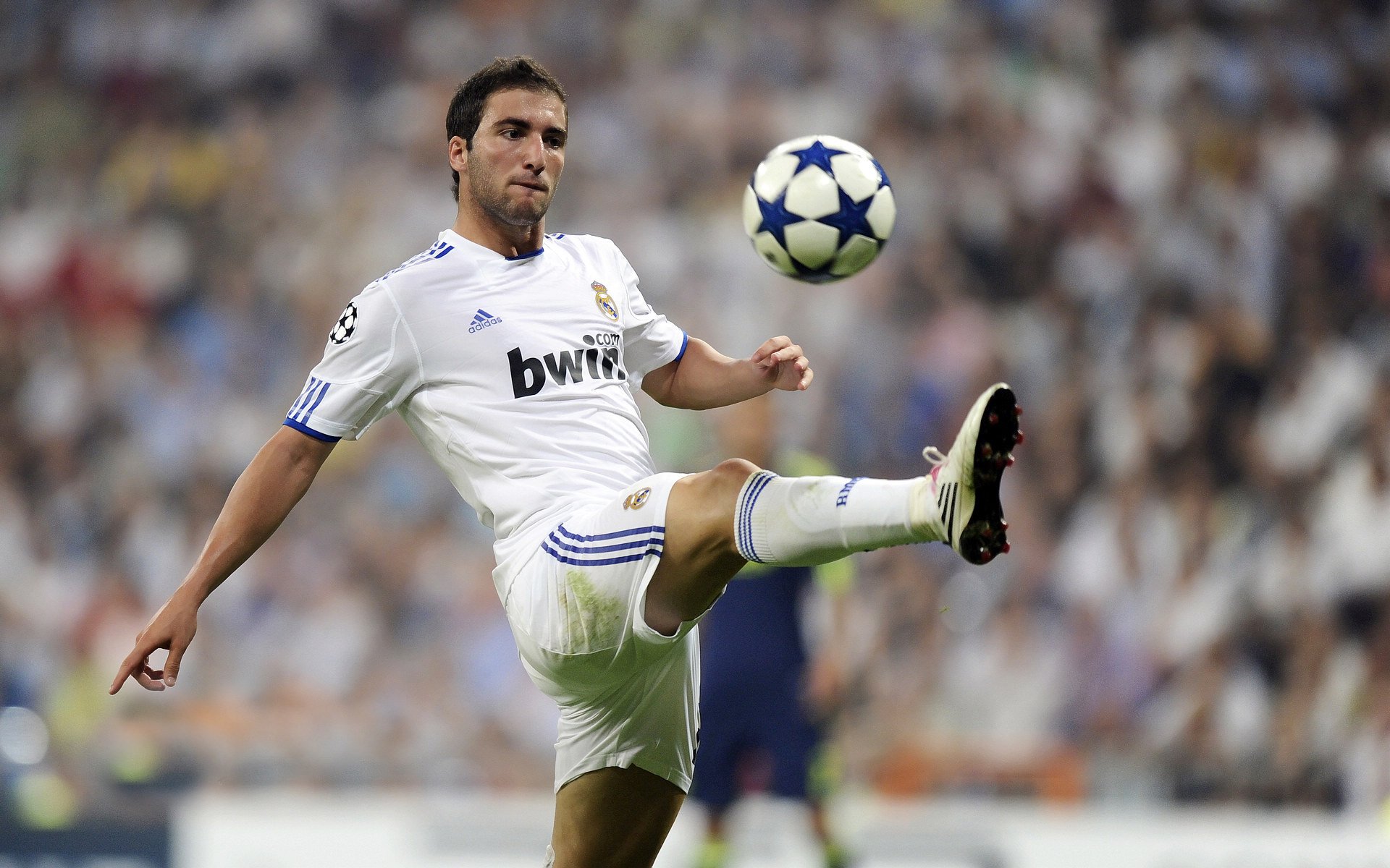 新王当立,杰伦·格林主宰比赛走向,猛龙强行终结灰熊连胜