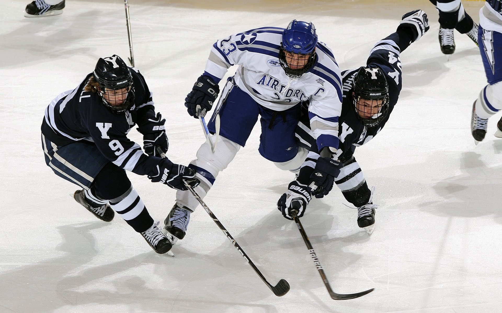 沪粤对决的节奏博弈,奥运周期关键战中上海队的掌控艺术